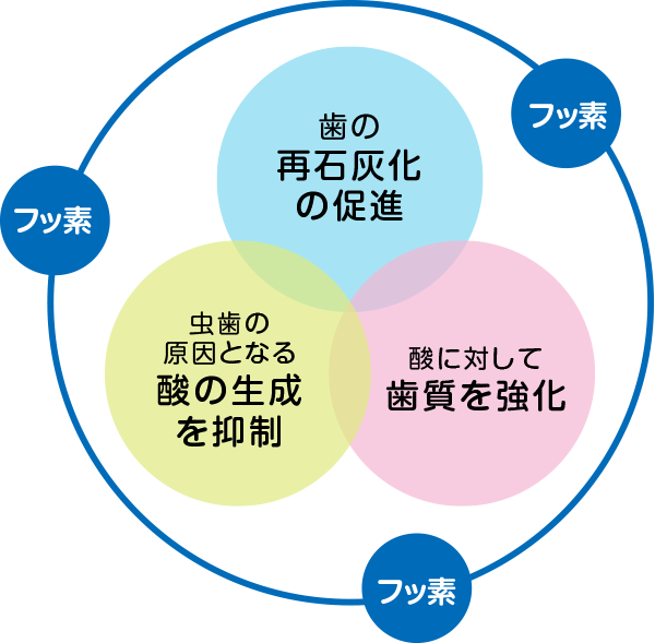 虫歯予防サイクル